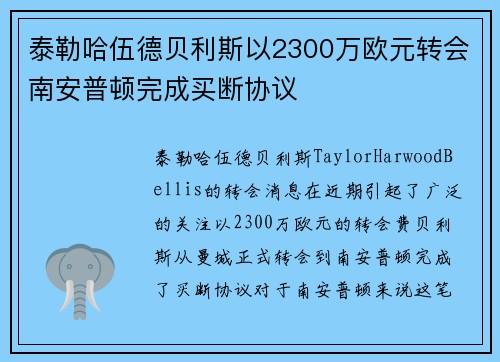 泰勒哈伍德贝利斯以2300万欧元转会南安普顿完成买断协议